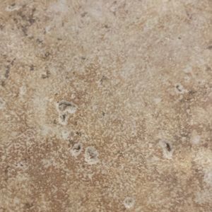 Meet your Posher, Bruce